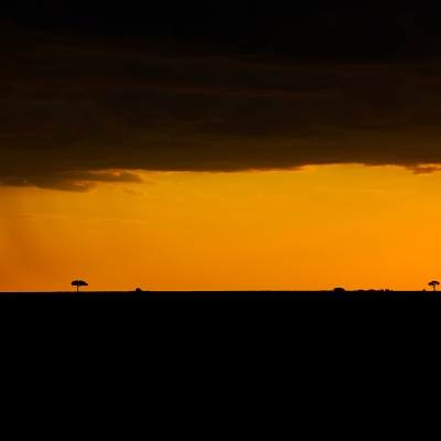 AFRICAN WILDLIFE KENYA